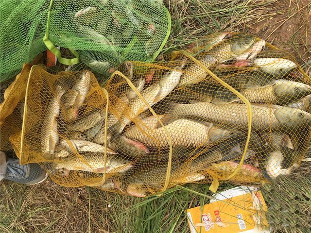 夏天野钓强效自制窝料配方分享 第5张