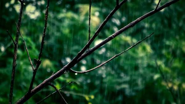 雨天照片拍摄技巧 第31张