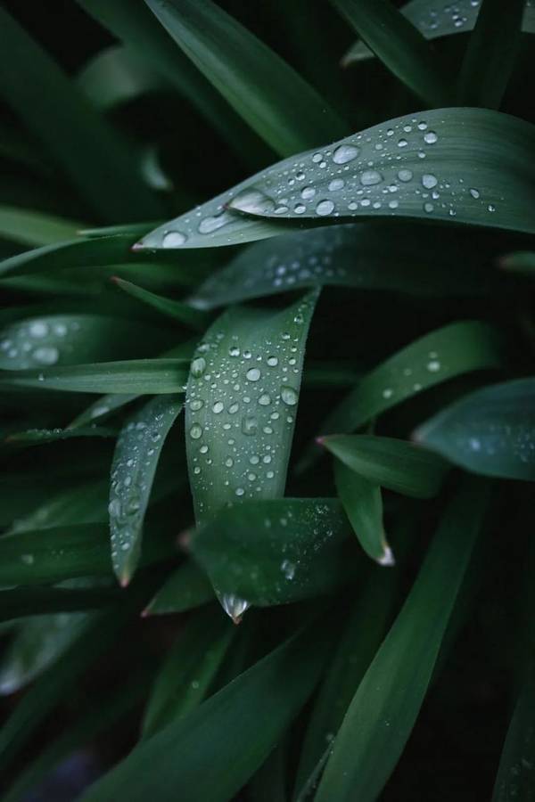 雨天照片拍摄技巧 第39张
