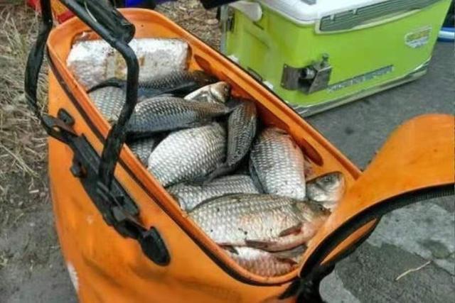 大板鲫再狡猾，一见这饵就得狂抢 第7张