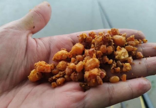 自制老坛玉米钓鲤鱼，效果不比买的差 第1张
