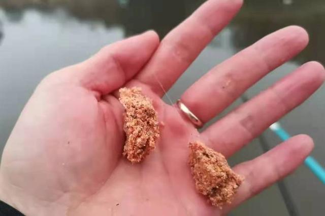 这鲫鱼饵果然够狠，头一次试用过了瘾 第3张