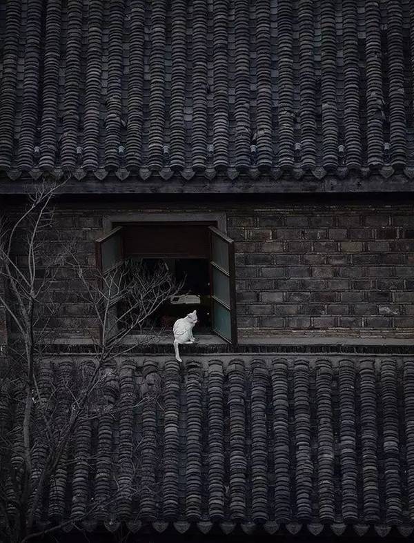 摄影师们常用的构图法 - 点构图 第23张