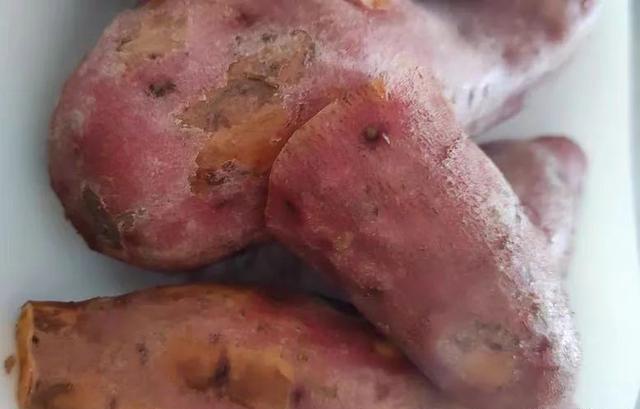 钓不到鲤鱼是你没用对窝料！这种粮食是大鲤鱼的最爱 第1张