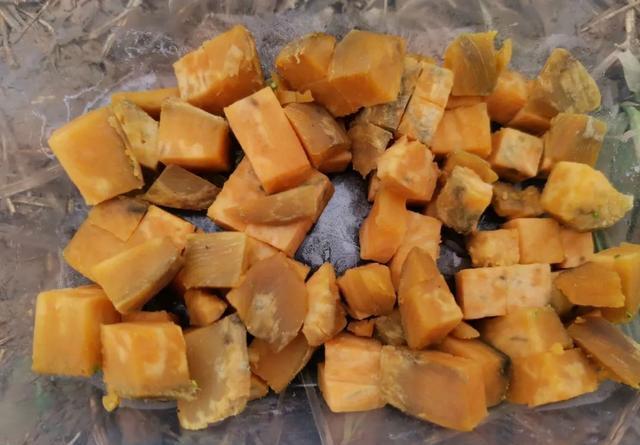 钓不到鲤鱼是你没用对窝料！这种粮食是大鲤鱼的最爱 第9张