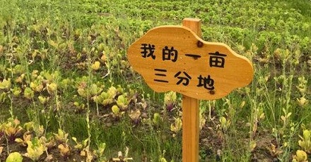 “一亩三分地”是怎么来的？ WE生活