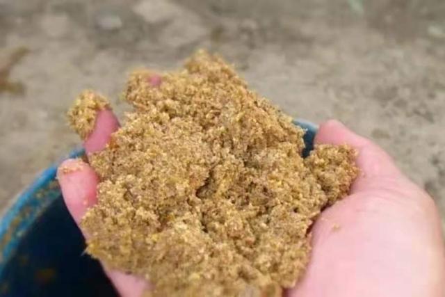 热天再不试用这草鱼饵，劝你还是尽早收竿 第3张