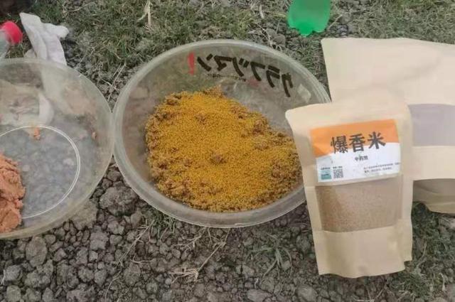 果然最简单的饵料才是最实用的，大板鲫一见狂咬 第1张