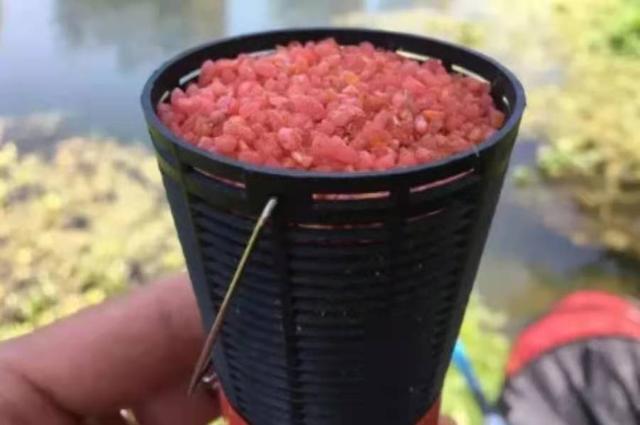 夏钓板鲫时，窝料这样配置才会大显神威 第1张