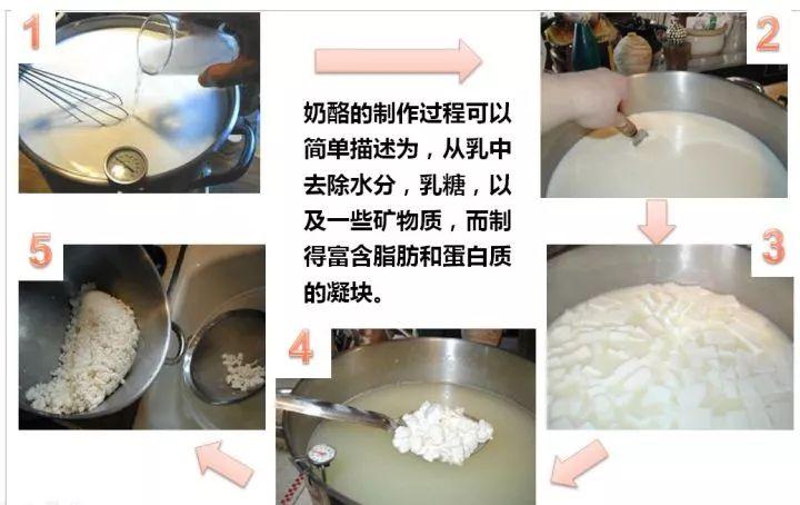 老外常吃的“芝士”到底是什么？得知它的原名后，一下子掉档次了 第11张
