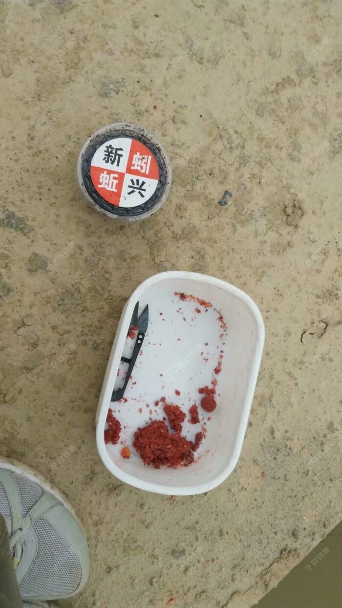 蚯蚓个作钓，钓半水调漂法！及垂钓方法 第9张