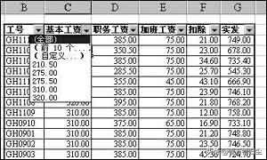Excel的数据筛选功能 第1张