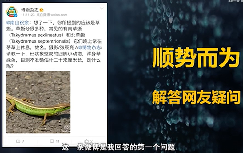 鸟哥笔记,新媒体,运营研究社,自媒体,个人品牌,创作者,图文,涨粉,自媒体,涨粉 第11张