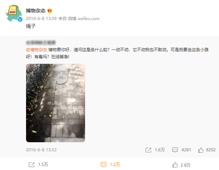 鸟哥笔记,新媒体,运营研究社,自媒体,个人品牌,创作者,图文,涨粉,自媒体,涨粉 第19张