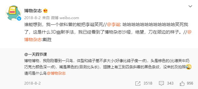 鸟哥笔记,新媒体,运营研究社,自媒体,个人品牌,创作者,图文,涨粉,自媒体,涨粉 第33张