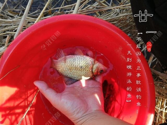 什么情况要调平水钓一两目，话空钩半水调漂 第5张