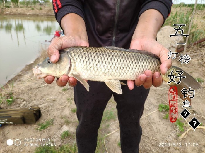 什么情况要调平水钓一两目，话空钩半水调漂 第9张