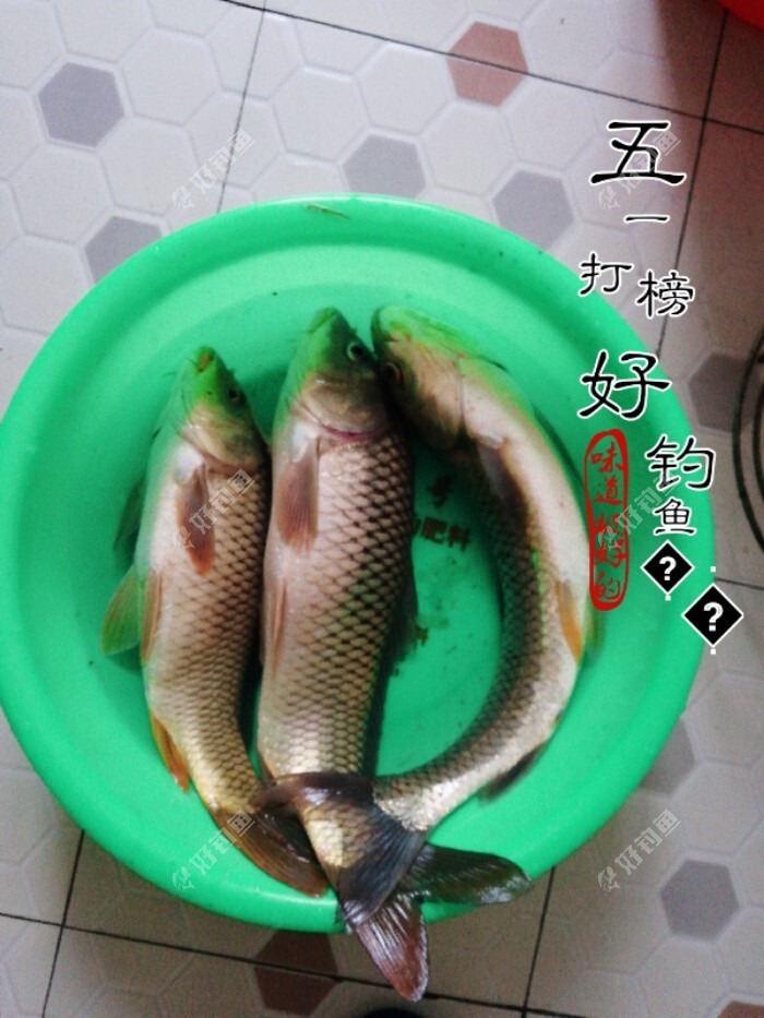什么情况要调平水钓一两目，话空钩半水调漂 第13张