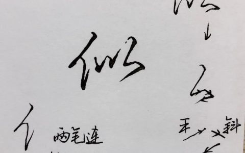 硬笔行楷书法：似、刺、川、孙、王、民、勒……常用字写法