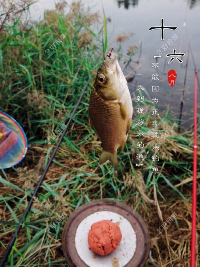 什么情况要调平水钓一两目，话空钩半水调漂 第19张