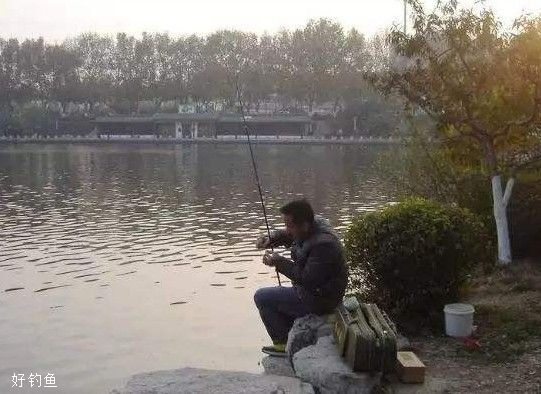 都是空钩调平水钓2目，为啥我的漂相更清晰？ 第5张