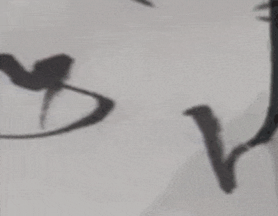 毛笔书法每日一字：分别用楷书、草书、行书，练习【年】字 第7张