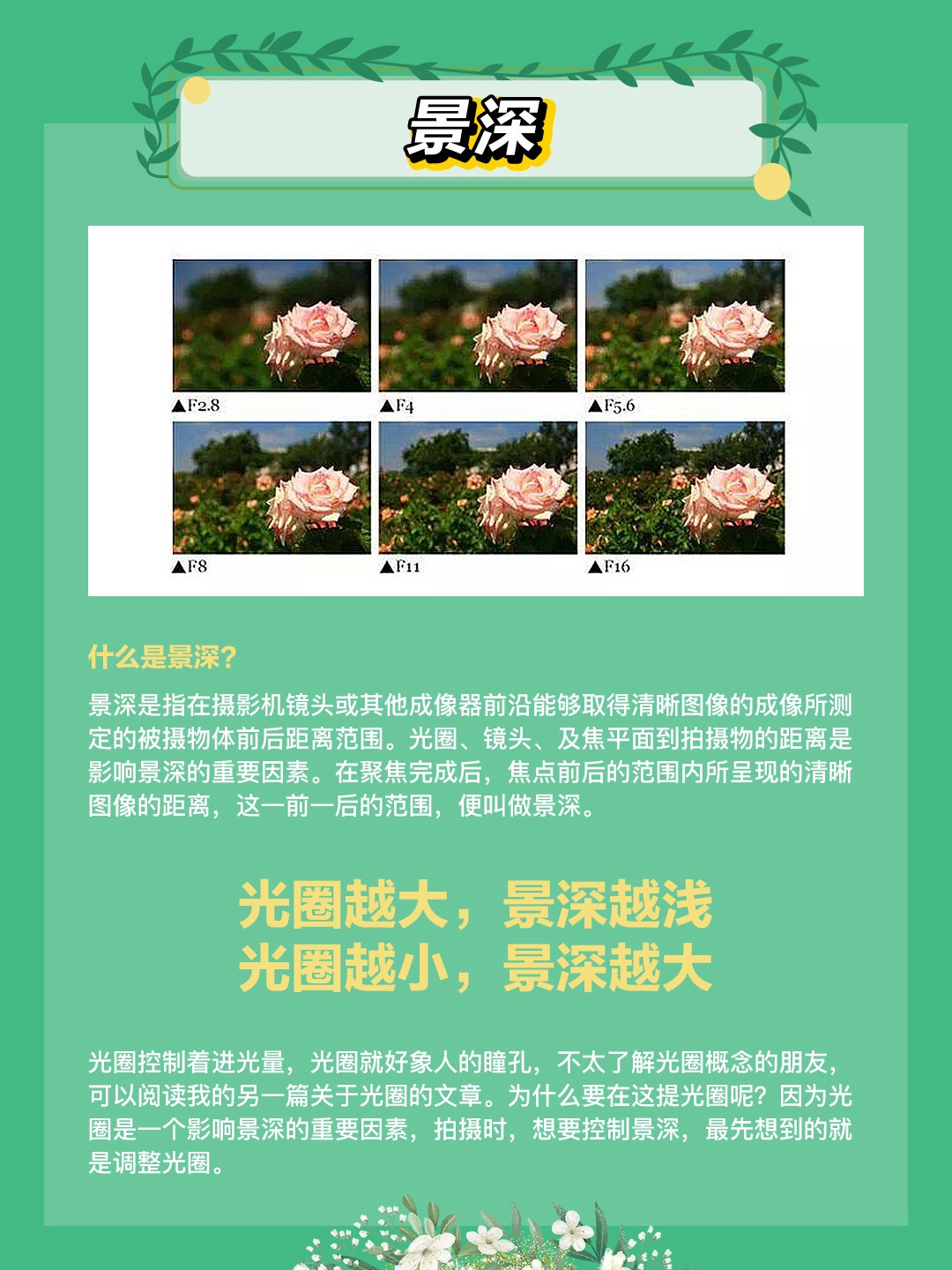 零基础学摄影之《新手小白8个必学的摄影基础知识》 第15张