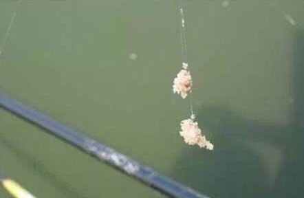 半水调漂老不正确？一定是这三点错了 第3张