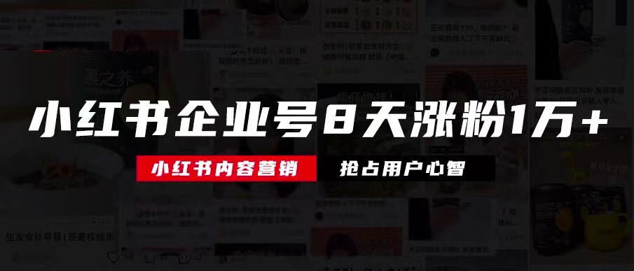 鸟哥笔记,新媒体,庄俊,自媒体,个人品牌,小红书,涨粉,小红书,自媒体,涨粉 第3张