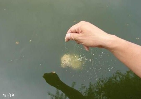 野钓中怎么半水调漂？ 第5张