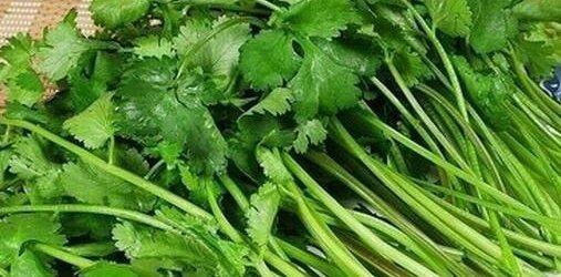 吃香菜的副作用 香菜的食用禁忌 第1张