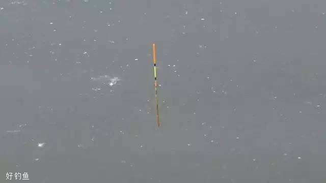 野钓半水调漂如何能更精准 第3张