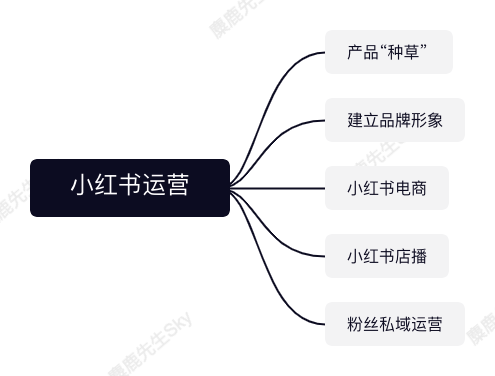 鸟哥笔记,新媒体,麋鹿先生Sky,自媒体,个人品牌,小红书,品牌投放,小红书,自媒体 第1张