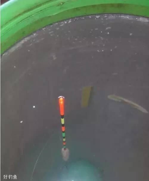 半水调漂挂蚯蚓饵的7个步骤 第3张