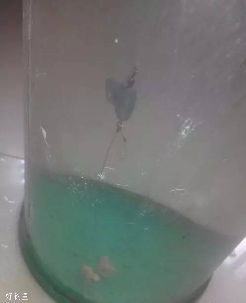 半水调漂挂蚯蚓饵的7个步骤 第17张