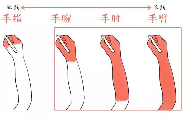 板绘初学者先练什么 第7张