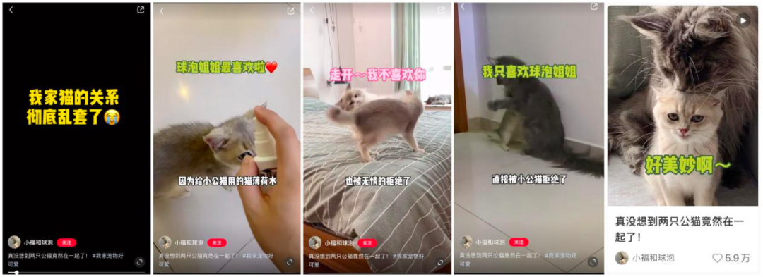 鸟哥笔记,新媒体,庄俊,自媒体,个人品牌,小红书,新媒体运营,新媒体运营,小红书,自媒体 第35张