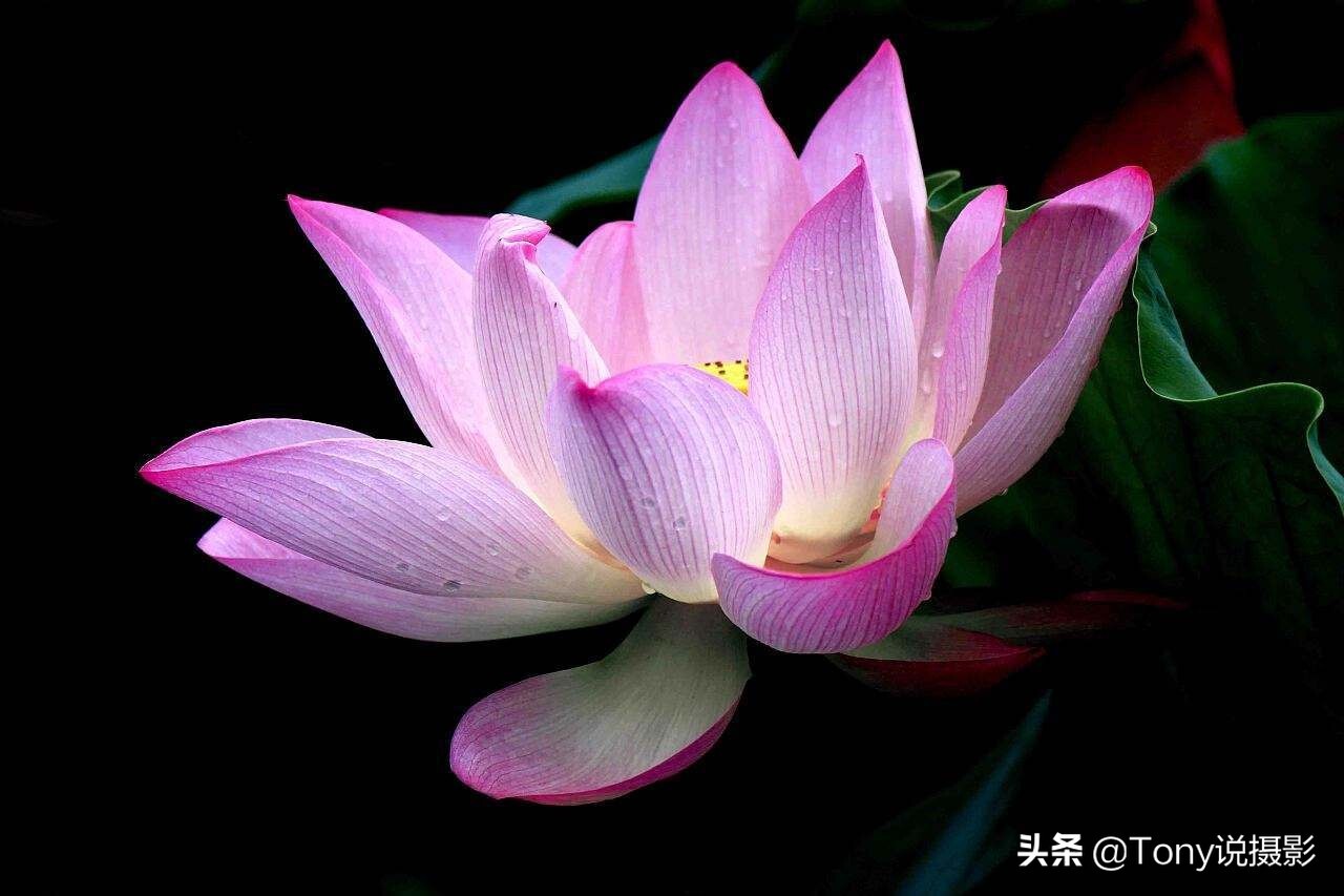 初学摄影，要学哪些摄影知识？这篇文章告诉你 第1张