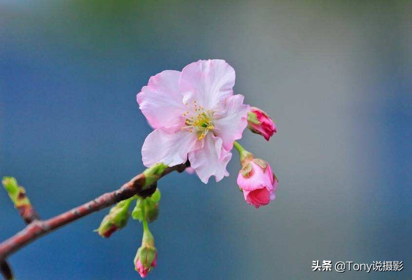初学摄影，要学哪些摄影知识？这篇文章告诉你 第9张
