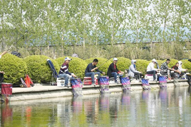 秋天钓鲤鱼，老钓手这么“调钓”，上鱼率高的不像话 第1张