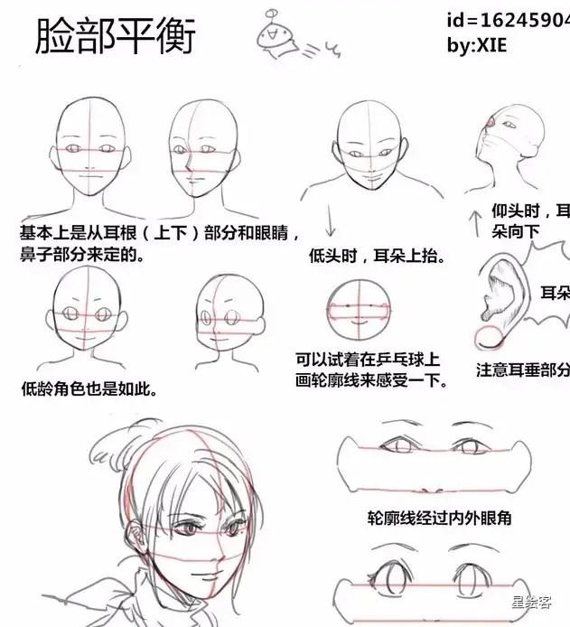 脸部平衡 第13张