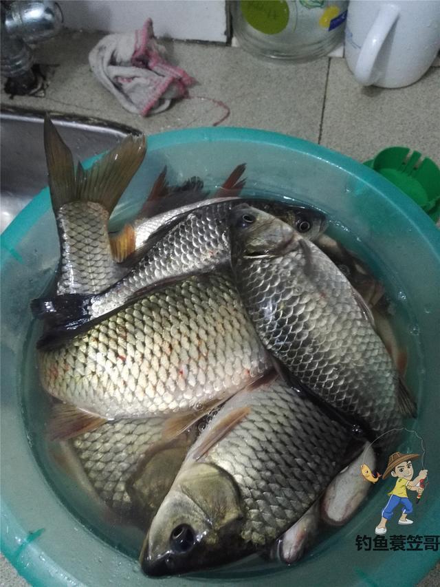 浮漂调灵一定好，根据实际情况调最合适当前情况的漂 第7张