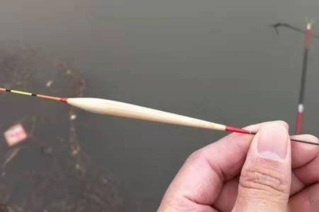 鲤鱼越大越难钓，殊不知这套用漂技能百试百灵 第3张