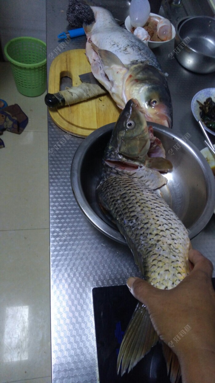 冬季黑坑钓鲤鱼的调漂方法 第7张