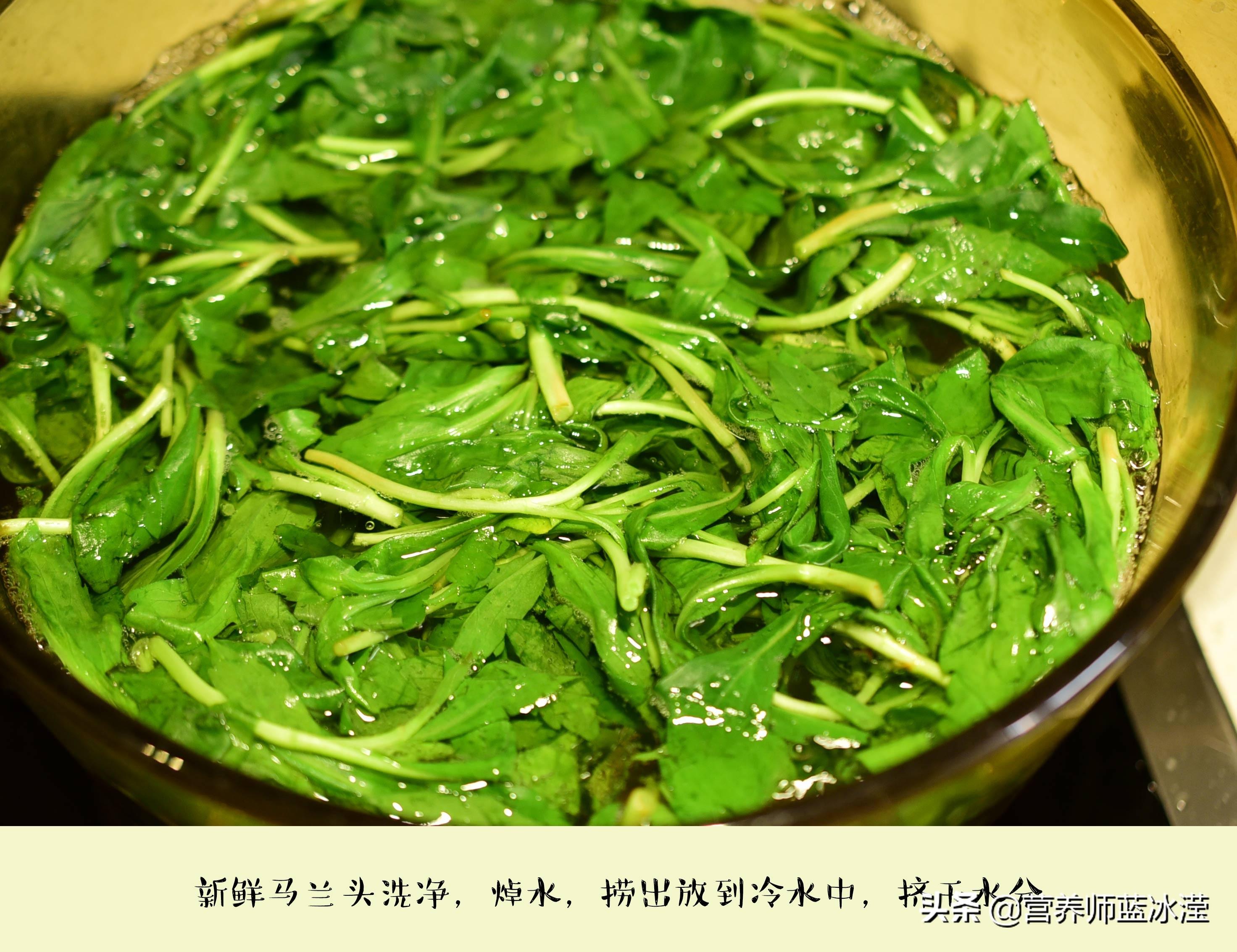 马兰头：清热解毒降血压，春天的这种野菜一焯一拌清爽又保健 第7张