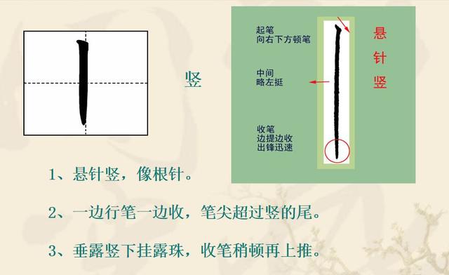 硬笔书法入门：悬针竖与垂露竖的写法练习 第9张