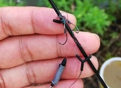 新手钓鲤鱼调漂秘诀，简单又实用 第3张