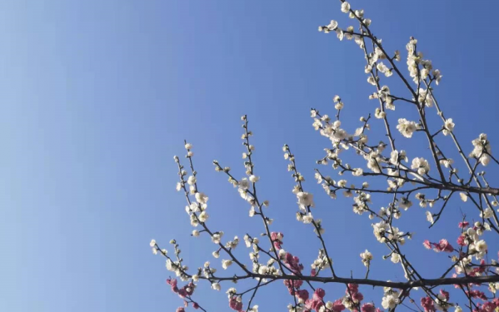 职场人需要坚持和提升的10大习惯，都和你有关 第1张