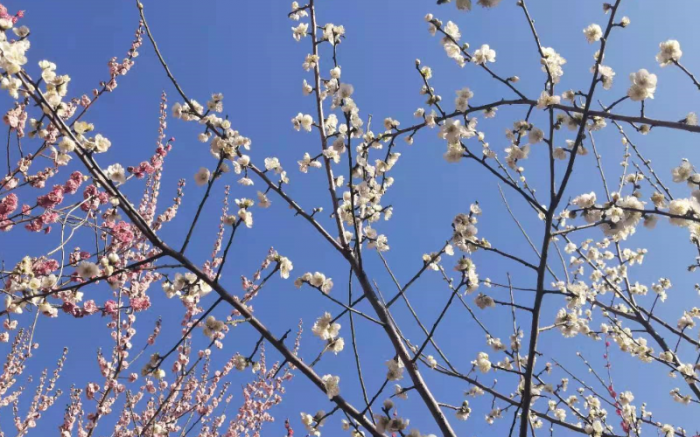 职场人需要坚持和提升的10大习惯，都和你有关 第5张