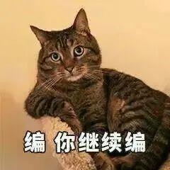 座头鲸为什么老跟虎鲸过不去呢 第7张